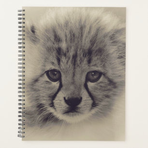 Baby Cheetah Planer