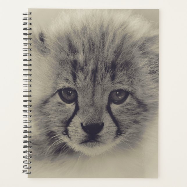 Baby Cheetah Planer (Vorderseite)