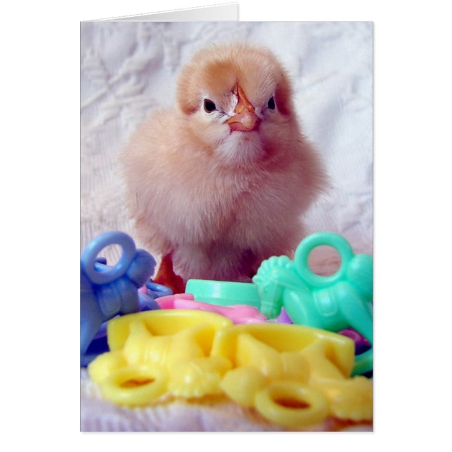 Baby Chick (Vorne)
