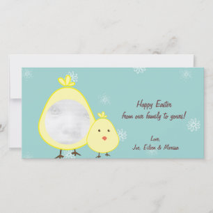 Baby Chick Oaster Foto Cards Feiertagskarte
