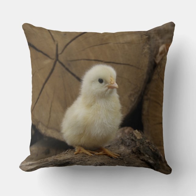 Baby Chick On Logs Kissen (Vorderseite)
