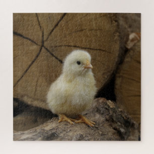Baby Chick On Logs Puzzle