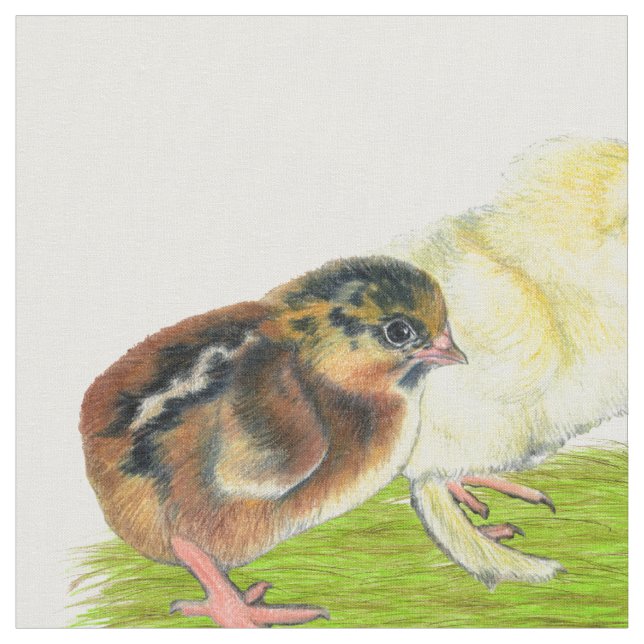 Baby Chick Trio Stoff (Nahaufnahme)