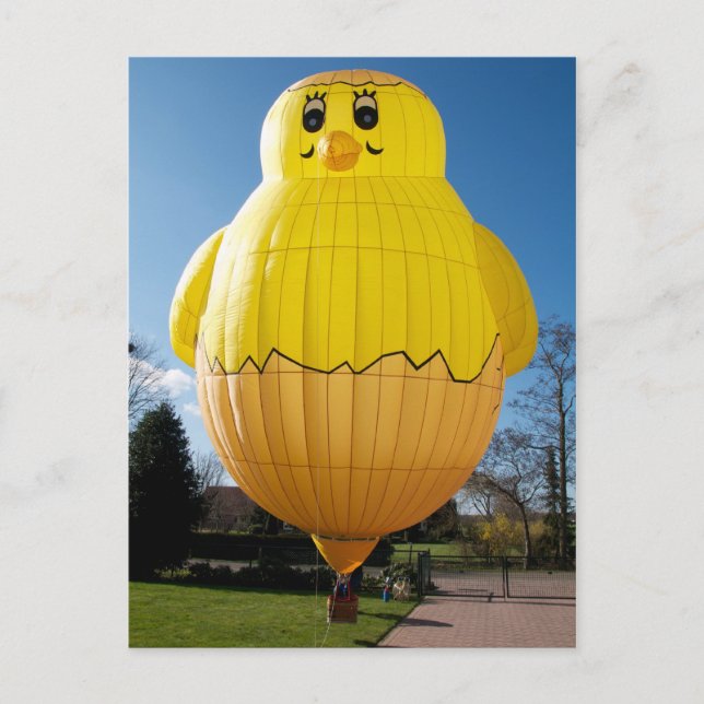 Baby Chicken Balloon Postkarte (Vorderseite)