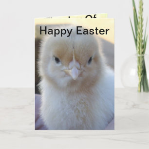 Baby_Chicken_Oaster_Greeting_Card. Feiertagskarte