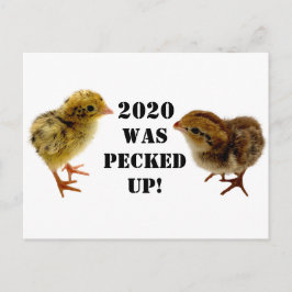 Baby Chicks Postkarte