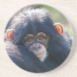 Baby Chimpanzee Reise Getränkeuntersetzer