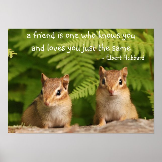 Baby Chipmunk Friends Quote Poster (Vorne)
