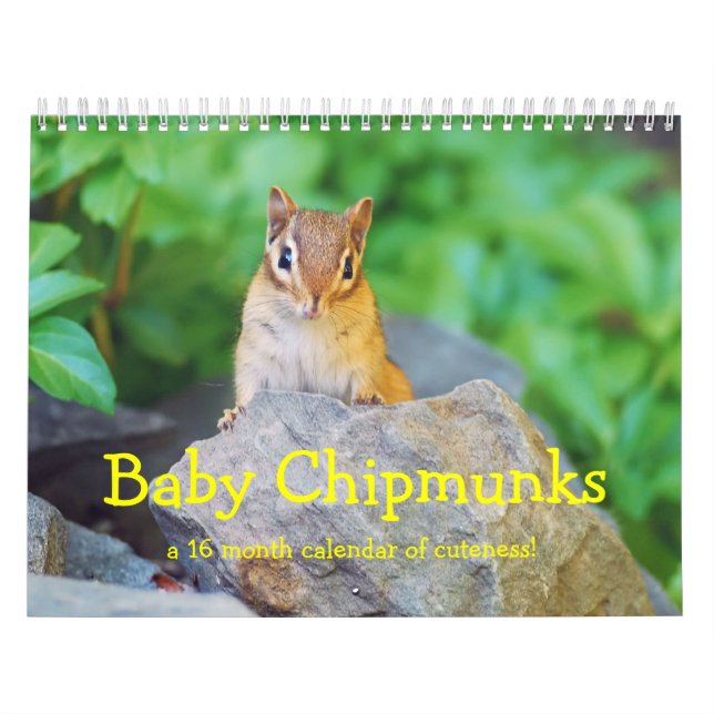 Baby Chipmunks 2013/2014 (16 Monate Kalender) Kalender (Titelbild)