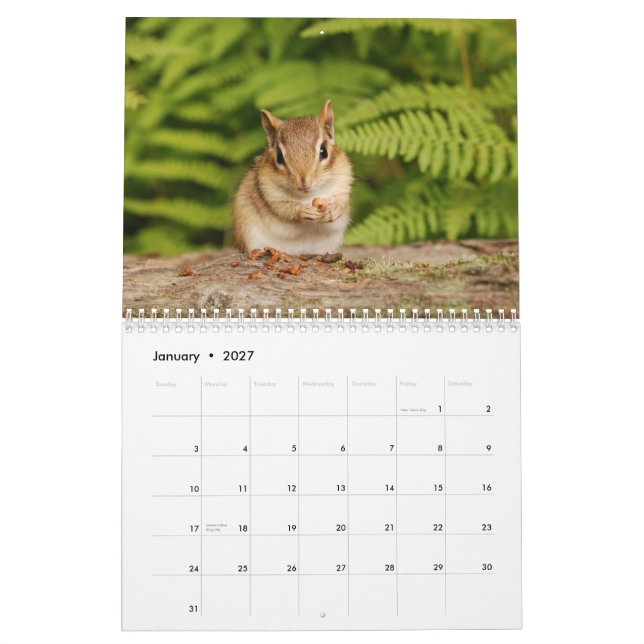 Baby Chipmunks 2014/2015 (16 Monate Kalender) Kalender (Jan 2027)