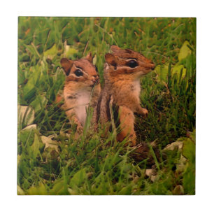 Baby Chipmunks Animal Art Fliese