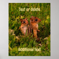 Baby Chipmunks Animal Art Personalisiert
