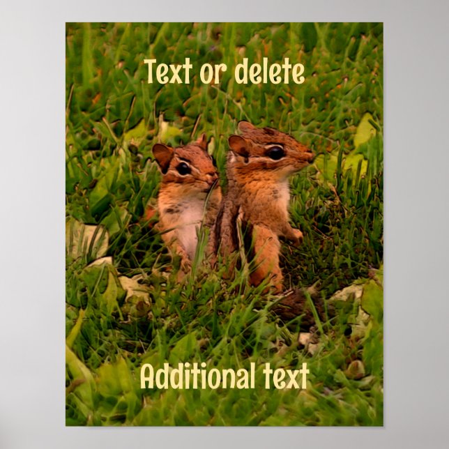 Baby Chipmunks Animal Art Personalisiert Poster (Vorne)