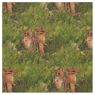 Baby Chipmunks Animal Nature Art Stoff