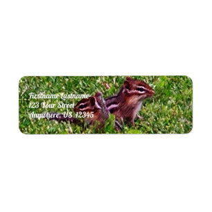 Baby Chipmunks Erster Tag #4 Tieradresse