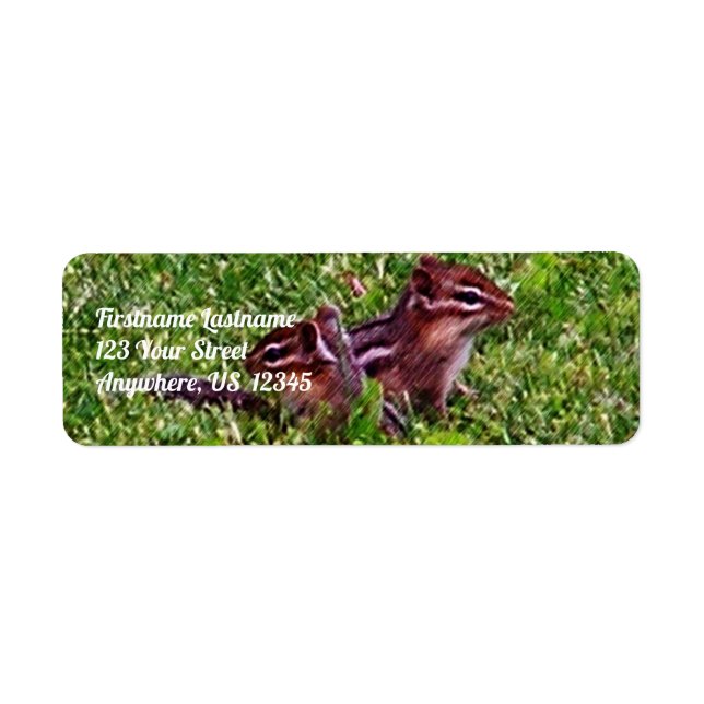 Baby Chipmunks Erster Tag #4 Tieradresse (Vorne)