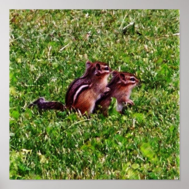 Baby Chipmunks First Day #6 Animal Poster (Vorne)