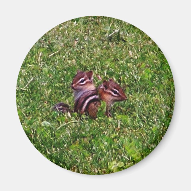 Baby Chipmunks First Day Animal Magnet (Vorne)