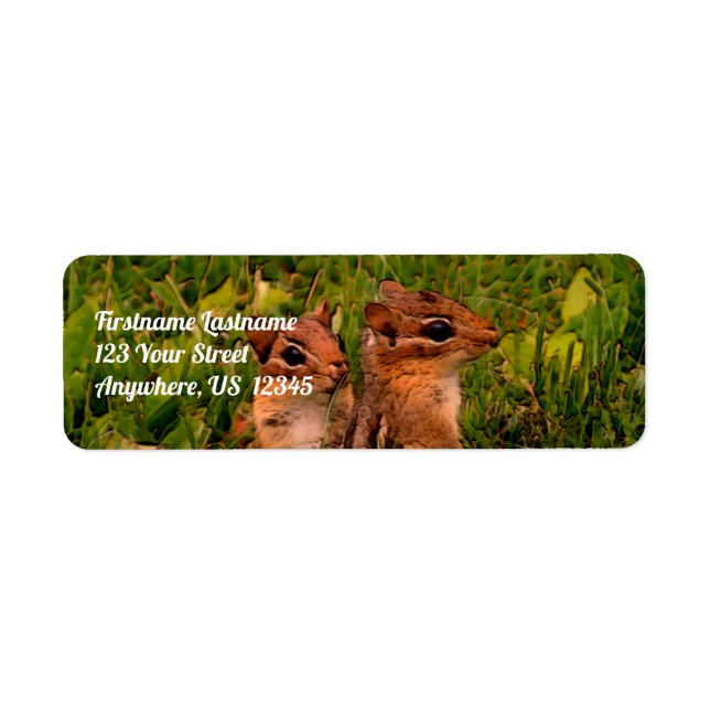Baby Chipmunks Wildlife Animal Art Address (Vorne)