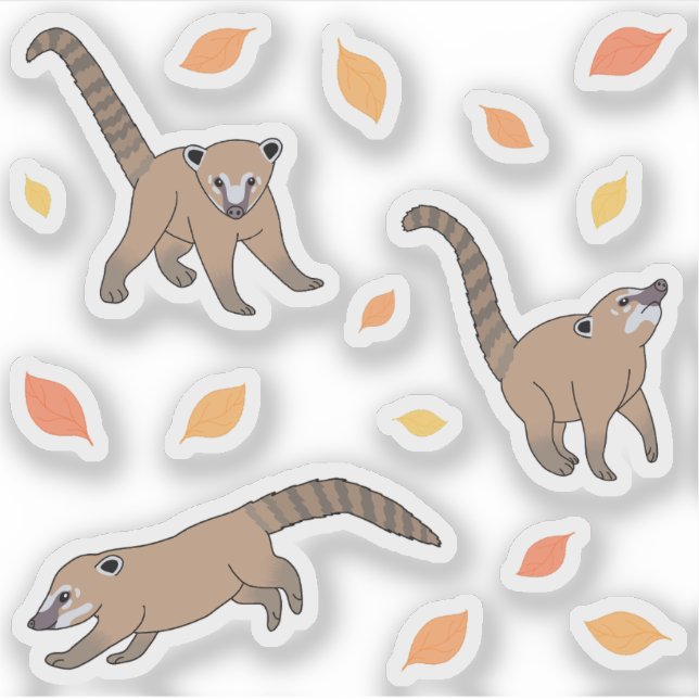 Baby Coatis Aufkleber (Vorderseite)