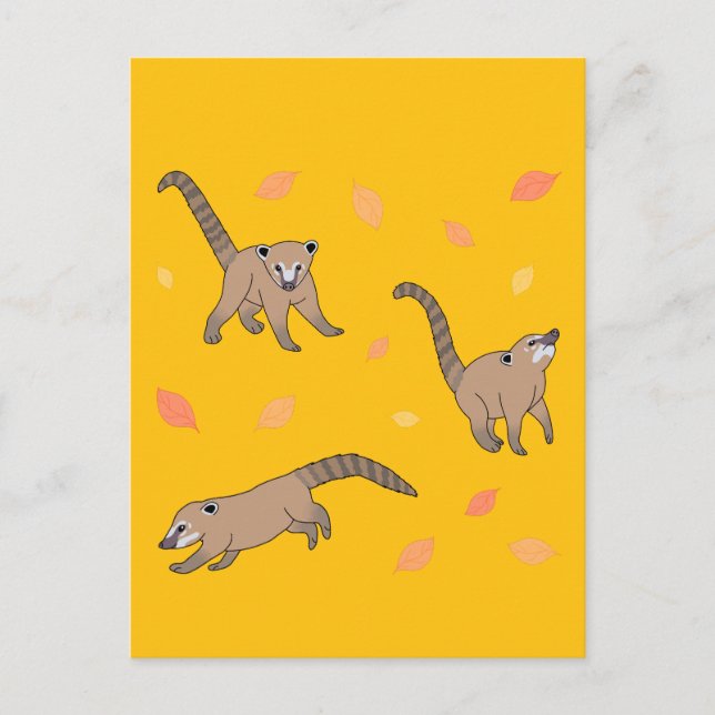 Baby Coatis Postkarte (Vorderseite)
