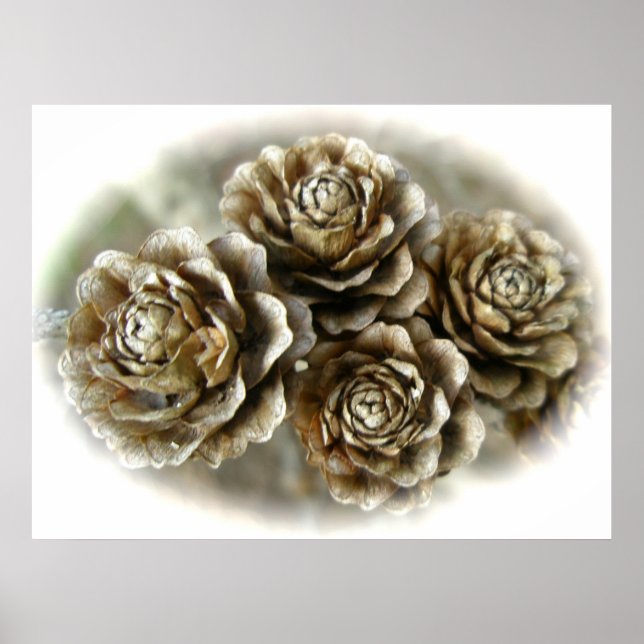Baby Cones Poster (Vorne)