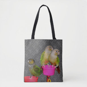 Baby Conure Papageien Tier 