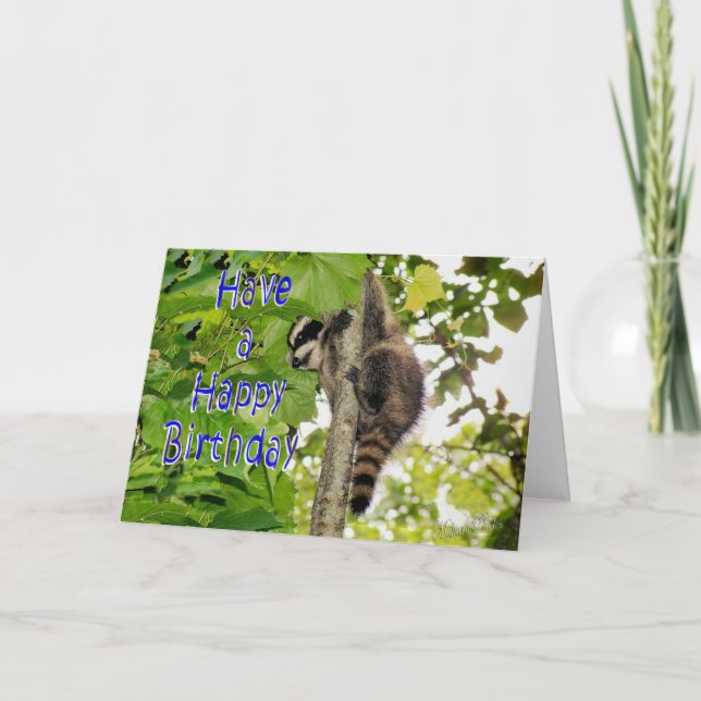 Baby Coon Bday wünscht Karte (Vorderseite)