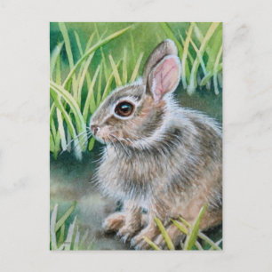 Baby Cottontail Kaninchen Wasserfarben Kunst Postkarte
