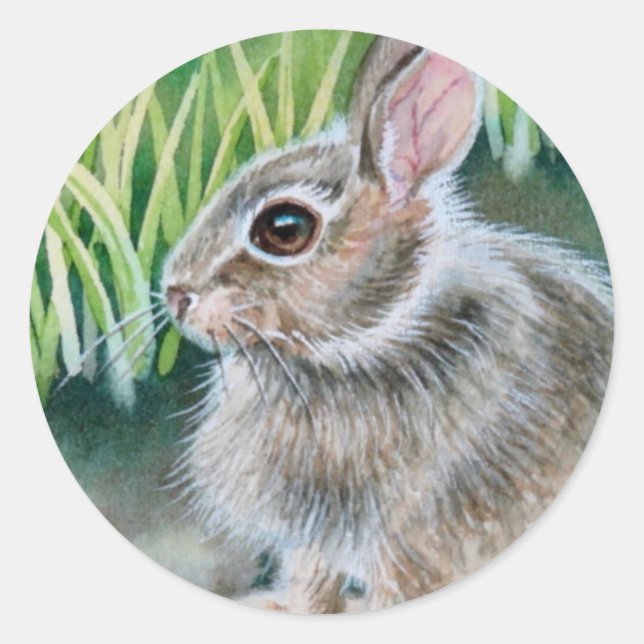 Baby Cottontail Kaninchen Wasserfarben Kunst Runder Aufkleber (Vorderseite)