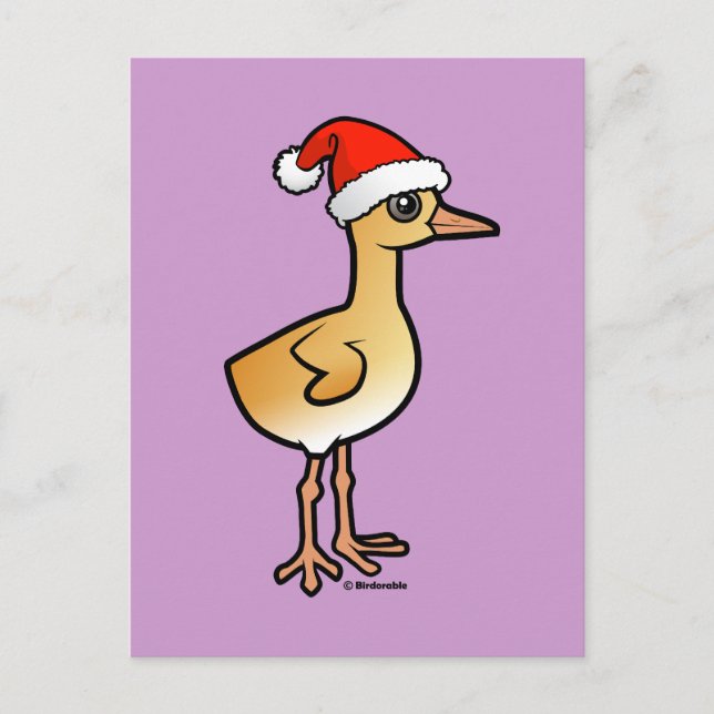 Baby Crane Santa Feiertagspostkarte (Vorderseite)