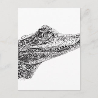 Baby Crocodile Ink Zeichnend Postkarte