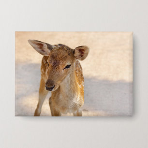 Baby Deer Button