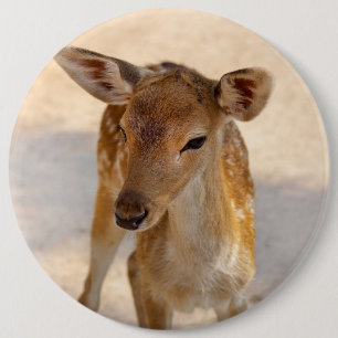 Baby Deer Button