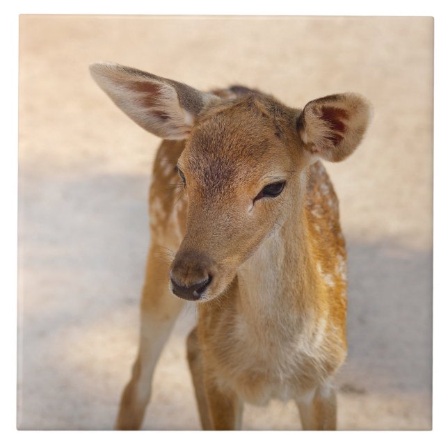 Baby Deer Fliese (Vorderseite)