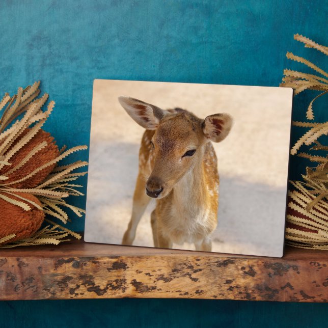 Baby Deer Fotoplatte (Seite)