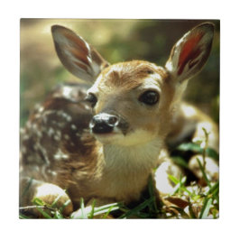 Baby Deer Geschenke Fliese