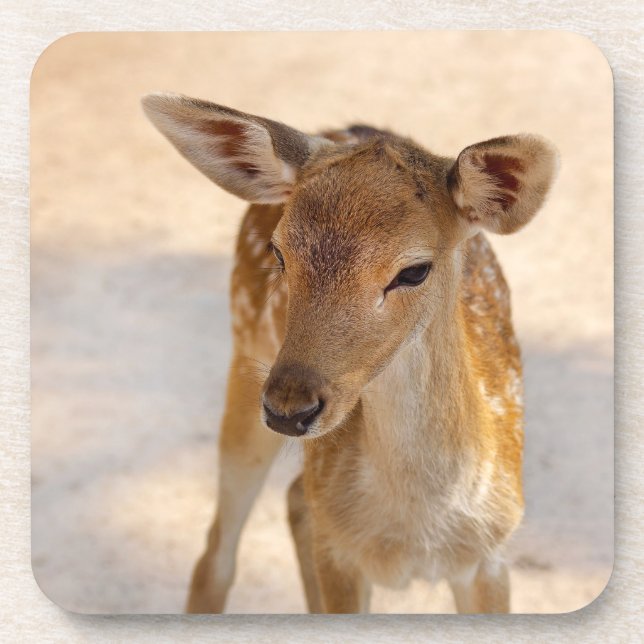 Baby Deer Getränkeuntersetzer (Vorderseite)
