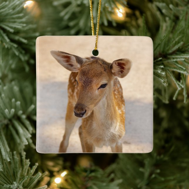 Baby Deer Keramikornament (Baum)