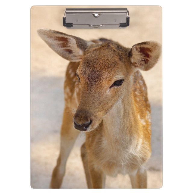 Baby Deer Klemmbrett (Vorderseite)