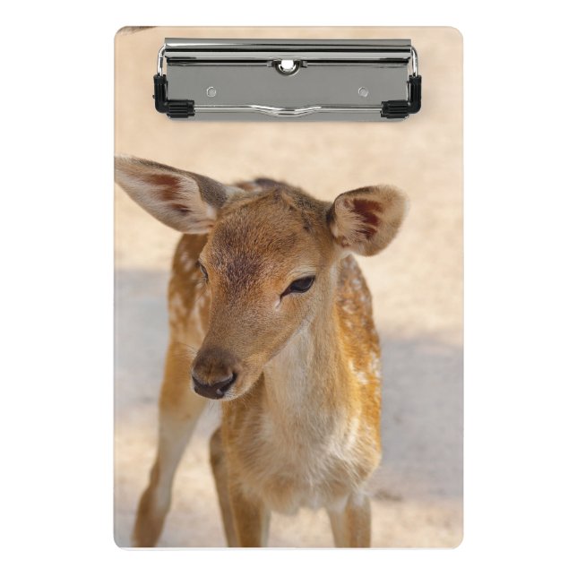 Baby Deer Mini Klemmbrett (Vorderseite)