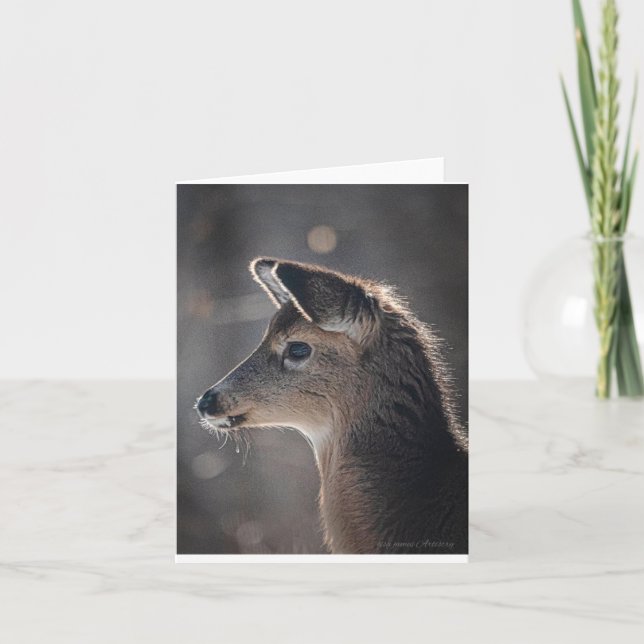 Baby Deer mit den Niedlichsten Ohren konzentriert  Karte (Vorderseite)