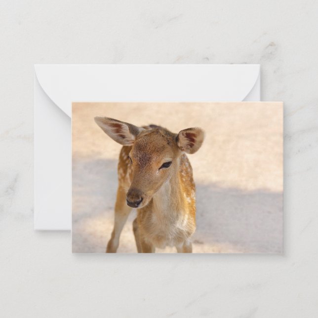 Baby Deer Mitteilungskarte (Vorderseite)