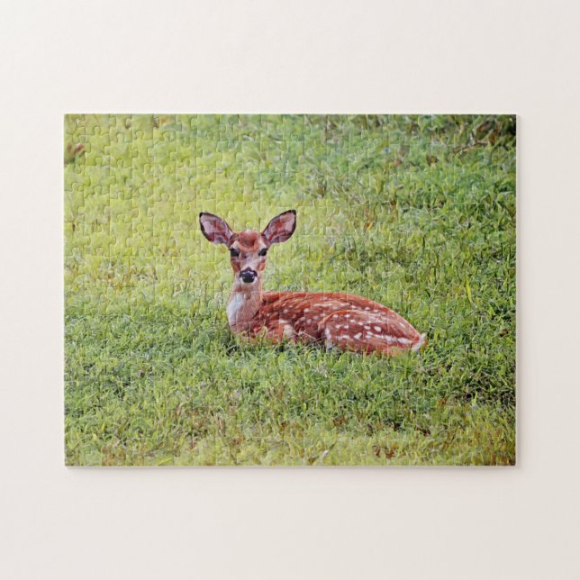 Baby Deer Niedlich Fawn Art Puzzle (Horizontal)