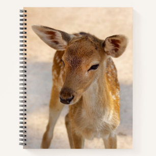 Baby Deer Notizbuch