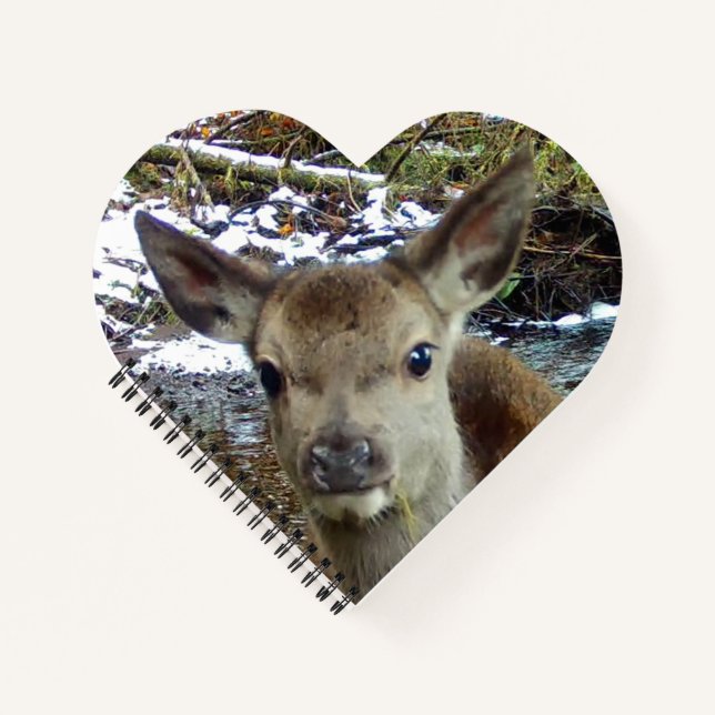 Baby Deer Notizbuch (Vorderseite)