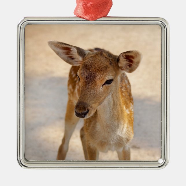 Baby Deer Ornament Aus Metall (Vorne)