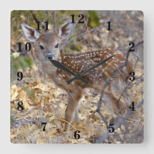Baby Deer Quadratische Wanduhr
