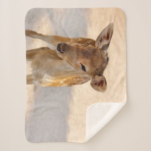 Baby Deer Sherpadecke (Vorderseite)