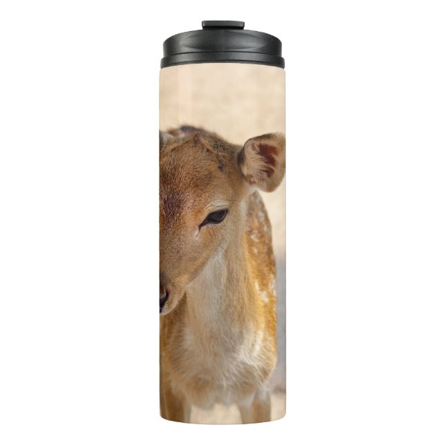 Baby Deer Thermosbecher (Vorderseite)